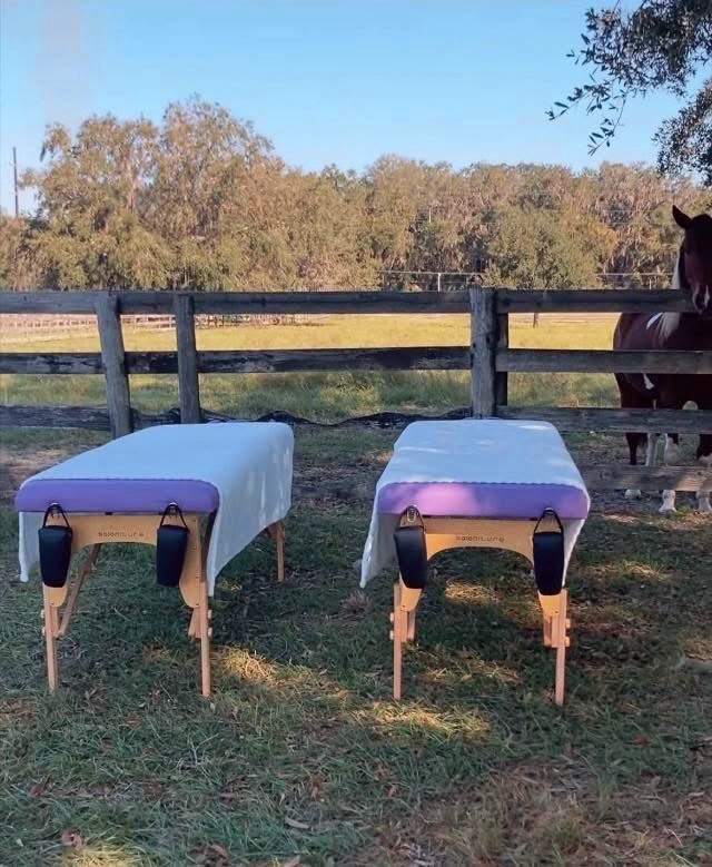 Two lavender Spinal Flow tables set up outdoors in a pasture with a horse peeking over the fence